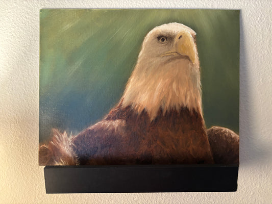 "Shining Eagle" - Original Oil Painting on Canvas Board