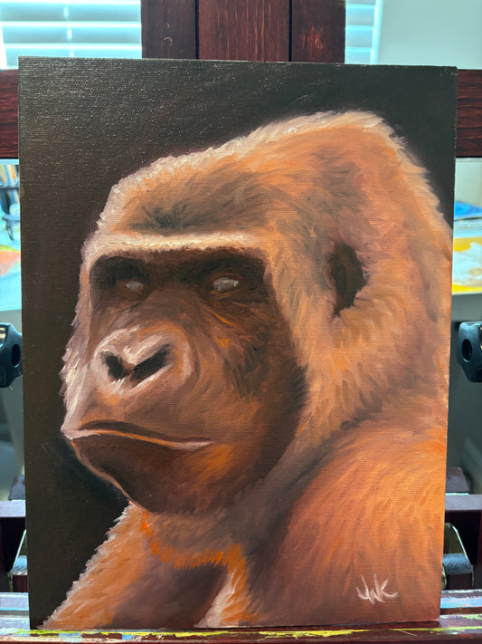"Gorilla in Red" - Original Oil Painting on Canvas Board