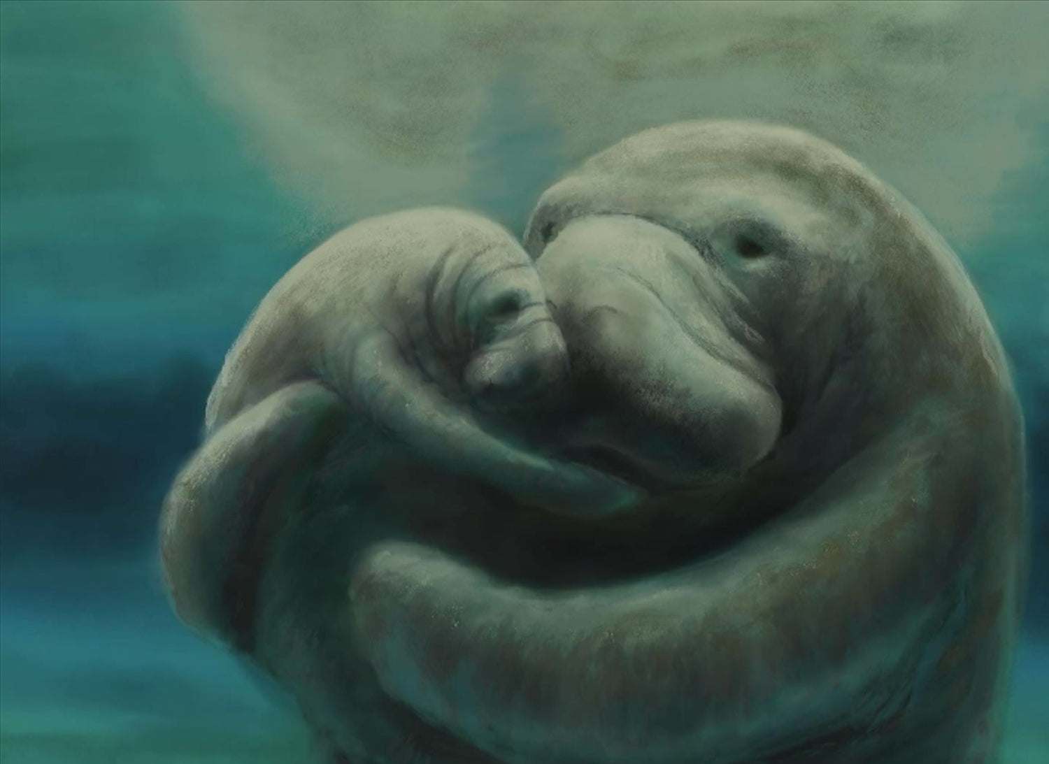 Manatee Cuddles