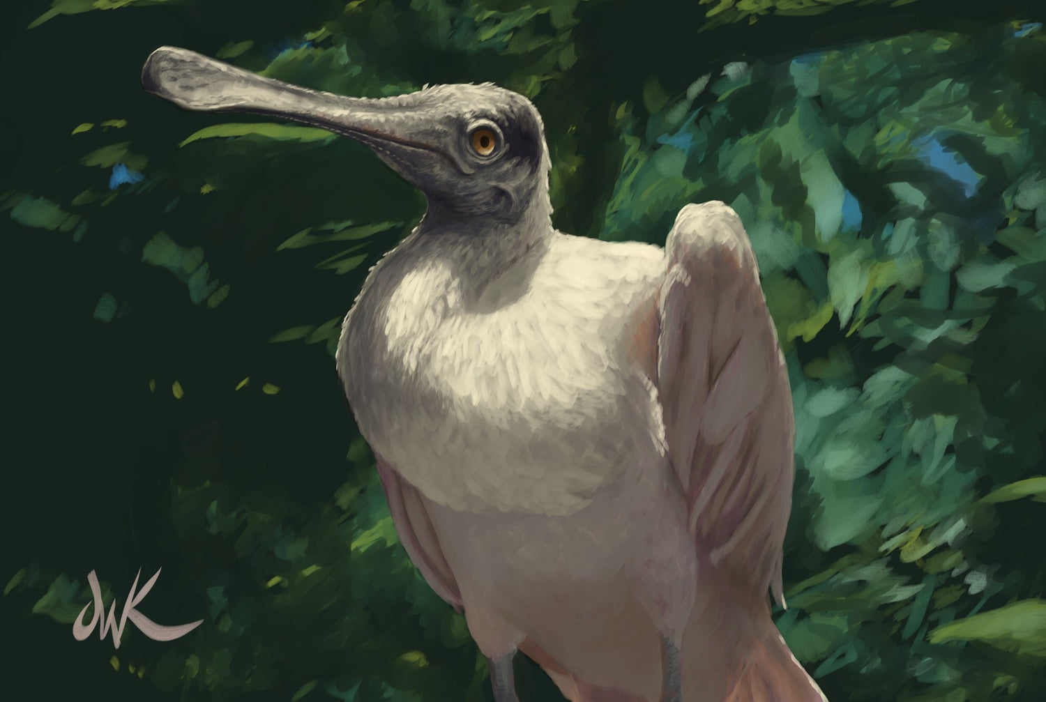 Suspicious Spoonbill