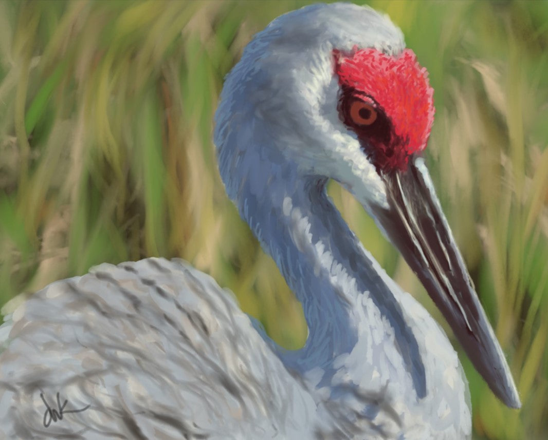 Painterly Sandhill