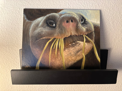 "Breakfast Tortoise" - Original Oil Painting on Canvas Board