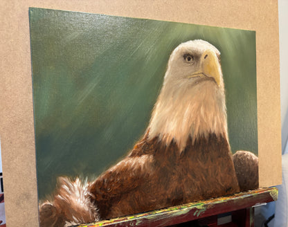 "Shining Eagle" - Original Oil Painting on Canvas Board