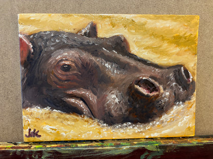 "Mini Hippo Study" - Original Oil Painting on Canvas Board