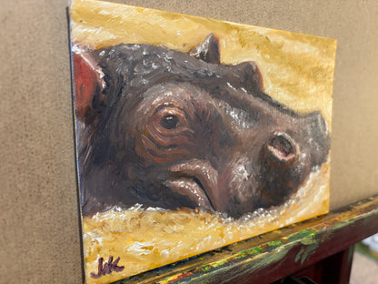 "Mini Hippo Study" - Original Oil Painting on Canvas Board