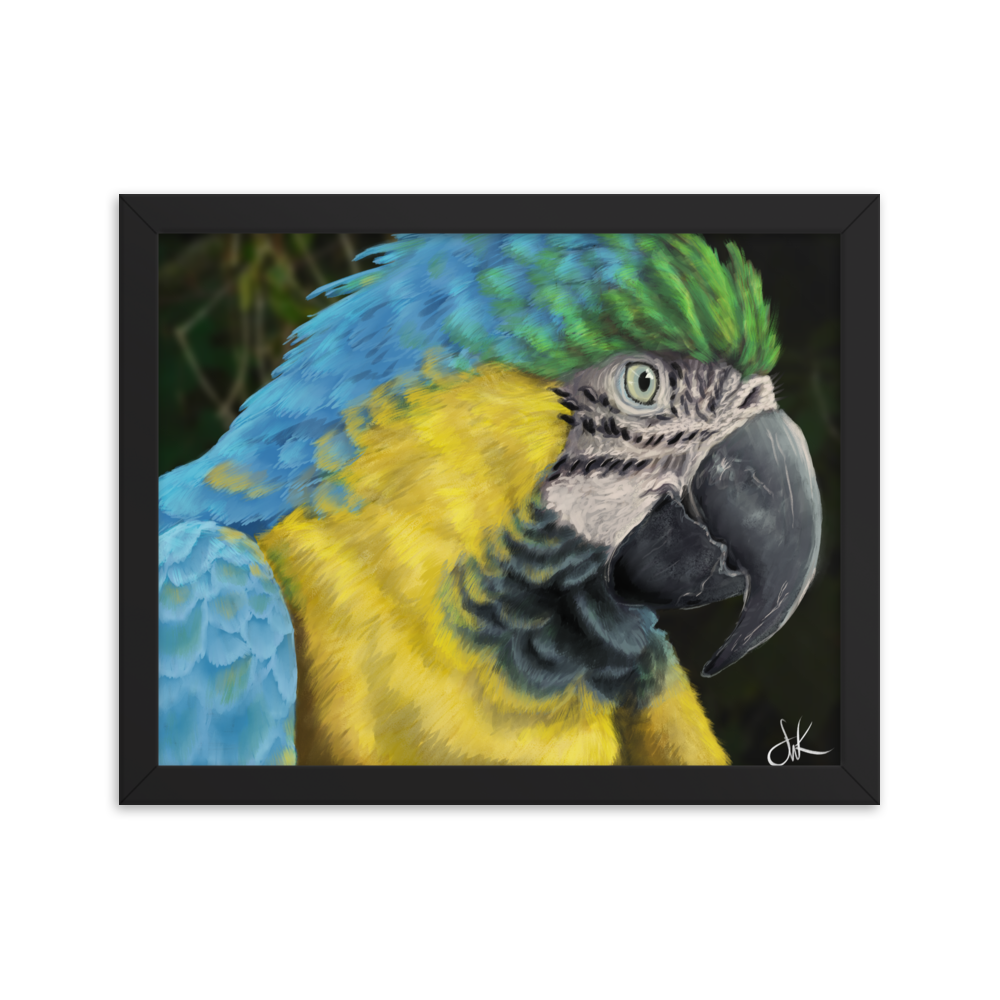 Macaws are such beautiful birds that I had to paint one. I especially love its beautiful vibrant colors in this digital painting. This digital wildlife animal painting print design is printed on matte paper and comes as framed wall art for display.