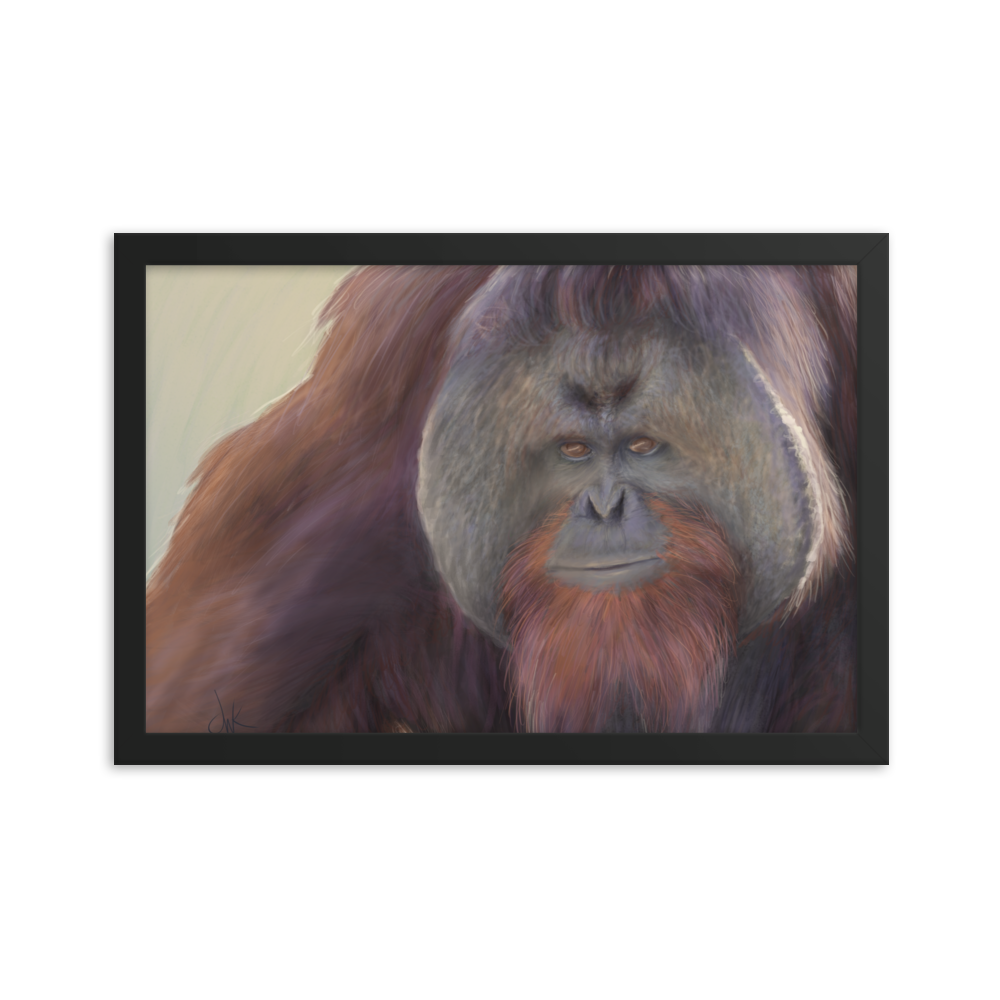 This print of a male orangutan is from a digital painting I recently completed. Male orangutans often have excess facial skin which creates an intimidating silhouette. The eyes and textures were especially fun to paint. This digital wildlife animal painting print design is printed on matte paper and comes as framed wall art for display. These apes have long facial hair and powerful jaws along with cute and sympathetic eyes.