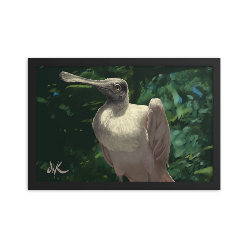 A curiously odd and funny creature, the spoonbill is definitely a sight to see. This is a print of one of my digital paintings capturing the essence of the bird whose name is so fitting. This digital wildlife animal painting print design is printed on matte paper and comes as framed wall art for display.