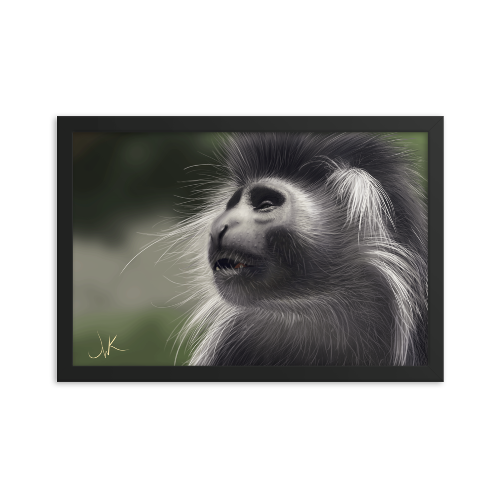 This is a print of a digital painting featuring an Angolan Colobus Monkey. This long-haired monkey can be found in the Congo and Angola. These cute monkeys have long facial hair and slanted noses along with cute and sympathetic eyes. This design comes framed and printed on matte paper and is ready to be displayed.