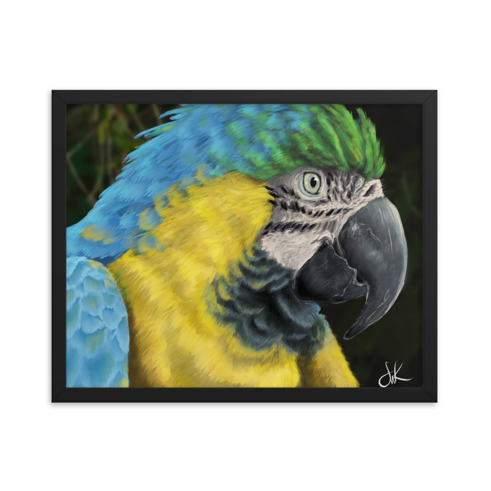 Macaws are such beautiful birds that I had to paint one. I especially love its beautiful vibrant colors in this digital painting. This digital wildlife animal painting print design is printed on matte paper and comes as framed wall art for display.