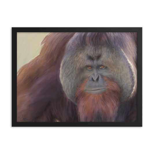 This print of a male orangutan is from a digital painting I recently completed. Male orangutans often have excess facial skin which creates an intimidating silhouette. The eyes and textures were especially fun to paint. This digital wildlife animal painting print design is printed on matte paper and comes as framed wall art for display. These apes have long facial hair and powerful jaws along with cute and sympathetic eyes.