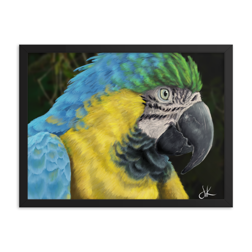 Macaws are such beautiful birds that I had to paint one. I especially love its beautiful vibrant colors in this digital painting. This digital wildlife animal painting print design is printed on matte paper and comes as framed wall art for display.