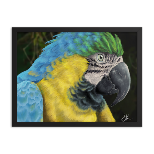 Macaws are such beautiful birds that I had to paint one. I especially love its beautiful vibrant colors in this digital painting. This digital wildlife animal painting print design is printed on matte paper and comes as framed wall art for display.