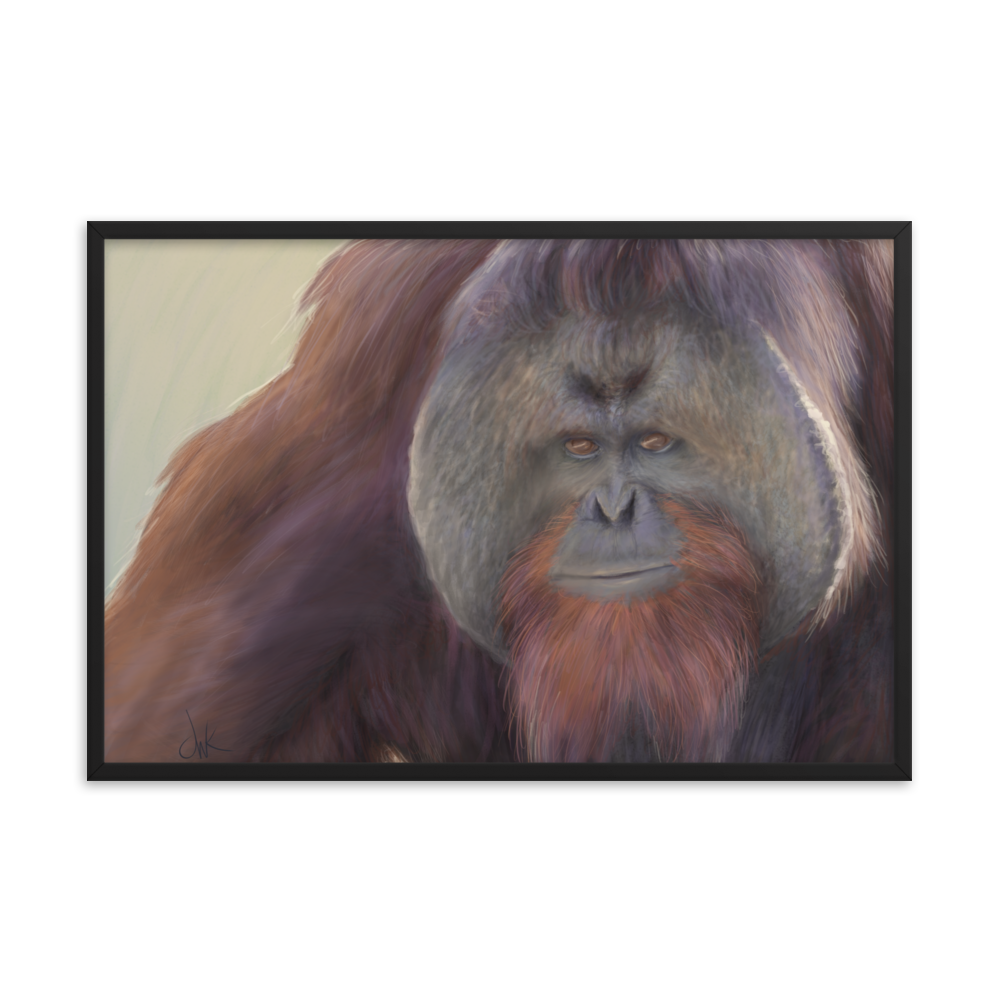 This print of a male orangutan is from a digital painting I recently completed. Male orangutans often have excess facial skin which creates an intimidating silhouette. The eyes and textures were especially fun to paint. This digital wildlife animal painting print design is printed on matte paper and comes as framed wall art for display. These apes have long facial hair and powerful jaws along with cute and sympathetic eyes.