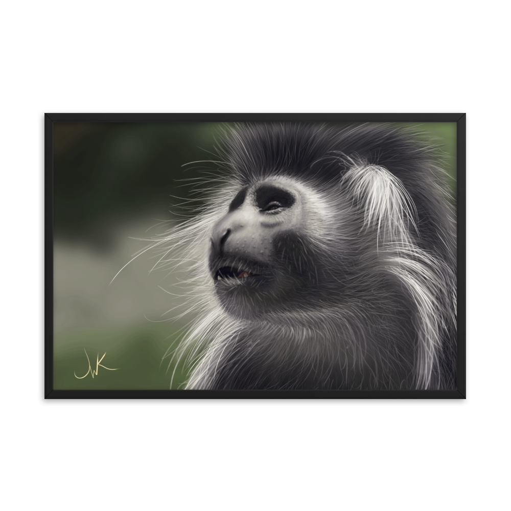 This is a print of a digital painting featuring an Angolan Colobus Monkey. This long-haired monkey can be found in the Congo and Angola. These cute monkeys have long facial hair and slanted noses along with cute and sympathetic eyes. This design comes framed and printed on matte paper and is ready to be displayed.