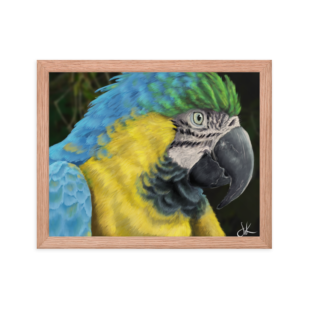 Macaws are such beautiful birds that I had to paint one. I especially love its beautiful vibrant colors in this digital painting. This digital wildlife animal painting print design is printed on matte paper and comes as framed wall art for display.