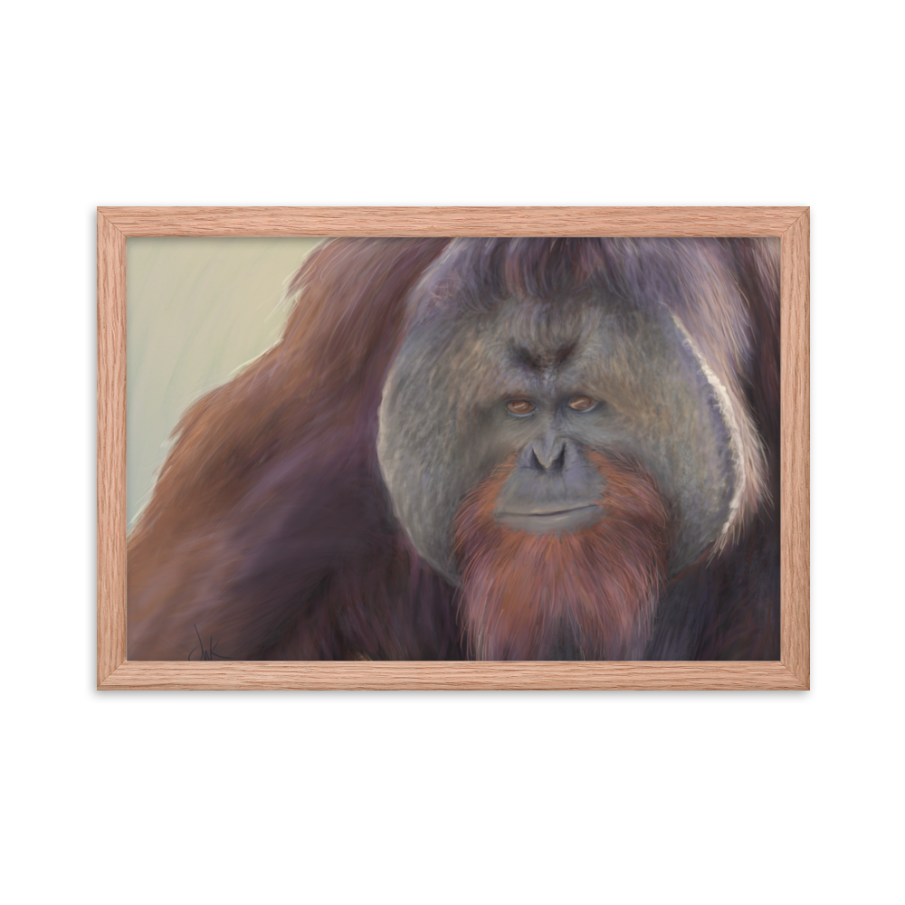 This print of a male orangutan is from a digital painting I recently completed. Male orangutans often have excess facial skin which creates an intimidating silhouette. The eyes and textures were especially fun to paint. This digital wildlife animal painting print design is printed on matte paper and comes as framed wall art for display. These apes have long facial hair and powerful jaws along with cute and sympathetic eyes.