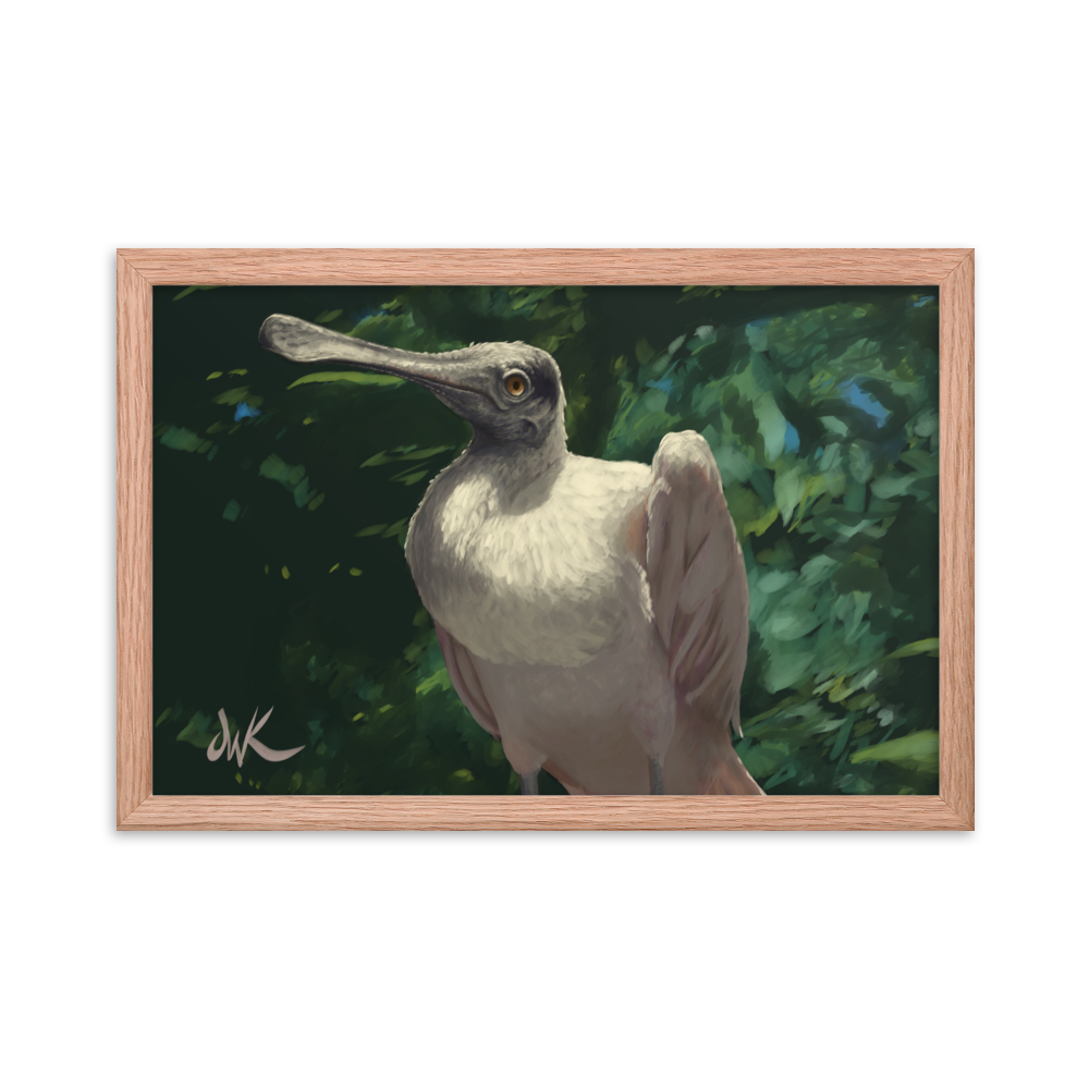 A curiously odd and funny creature, the spoonbill is definitely a sight to see. This is a print of one of my digital paintings capturing the essence of the bird whose name is so fitting. This digital wildlife animal painting print design is printed on matte paper and comes as framed wall art for display.