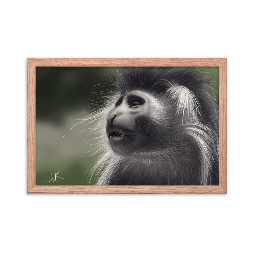 This is a print of a digital painting featuring an Angolan Colobus Monkey. This long-haired monkey can be found in the Congo and Angola. These cute monkeys have long facial hair and slanted noses along with cute and sympathetic eyes. This design comes framed and printed on matte paper and is ready to be displayed.