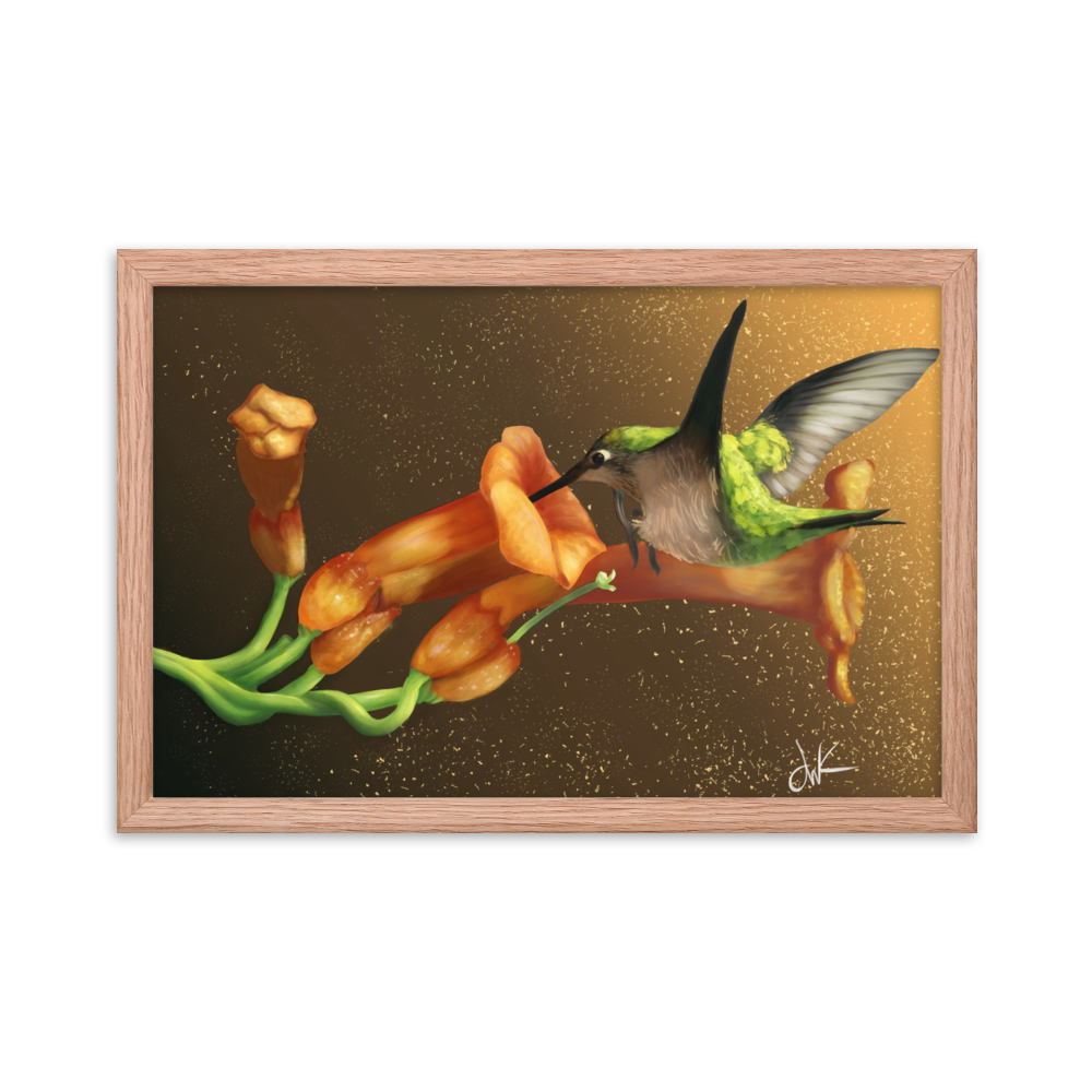 "Glistening Hummingbird" Framed poster