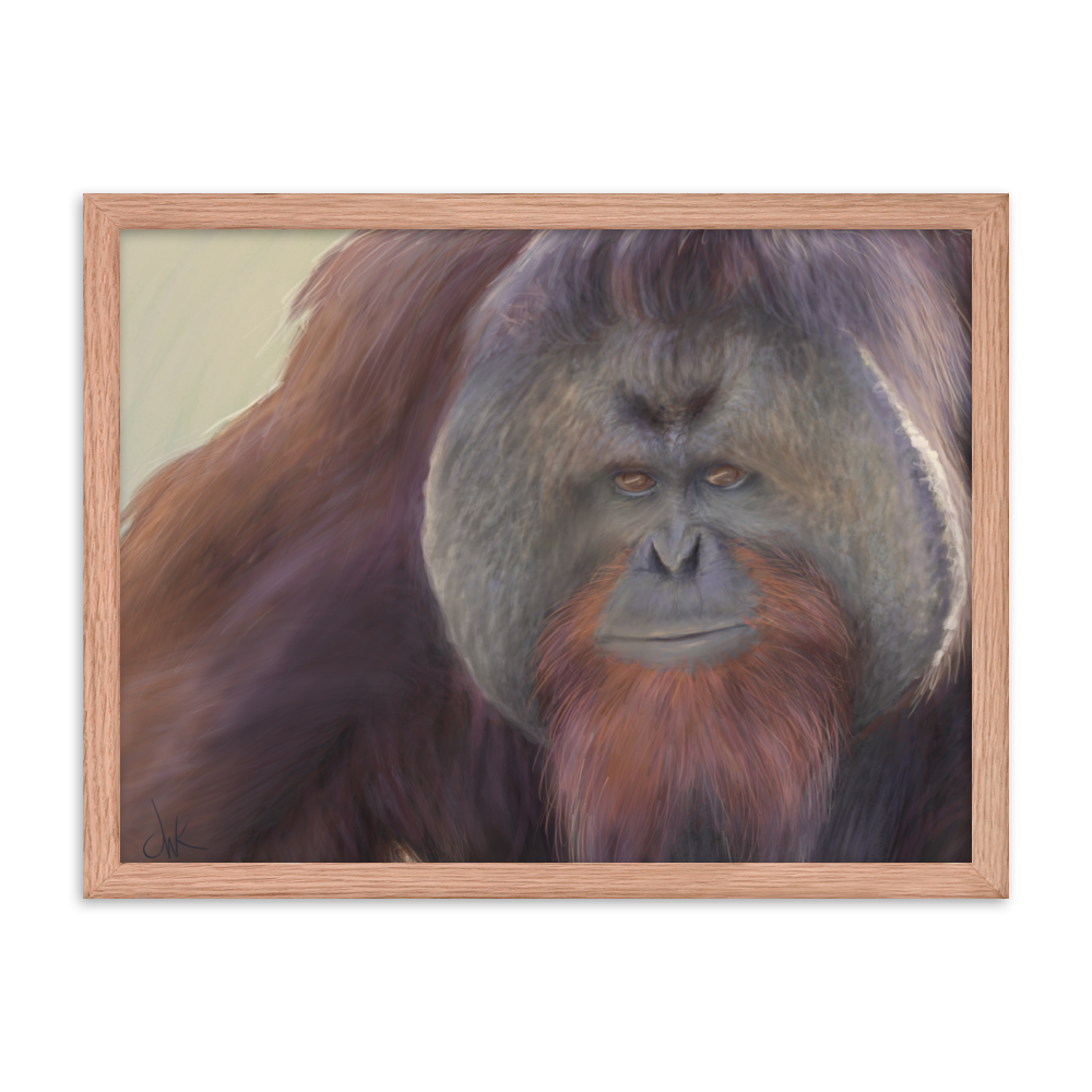 This print of a male orangutan is from a digital painting I recently completed. Male orangutans often have excess facial skin which creates an intimidating silhouette. The eyes and textures were especially fun to paint. This digital wildlife animal painting print design is printed on matte paper and comes as framed wall art for display. These apes have long facial hair and powerful jaws along with cute and sympathetic eyes.