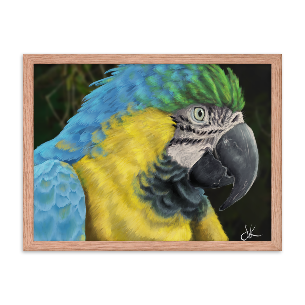 Macaws are such beautiful birds that I had to paint one. I especially love its beautiful vibrant colors in this digital painting. This digital wildlife animal painting print design is printed on matte paper and comes as framed wall art for display.