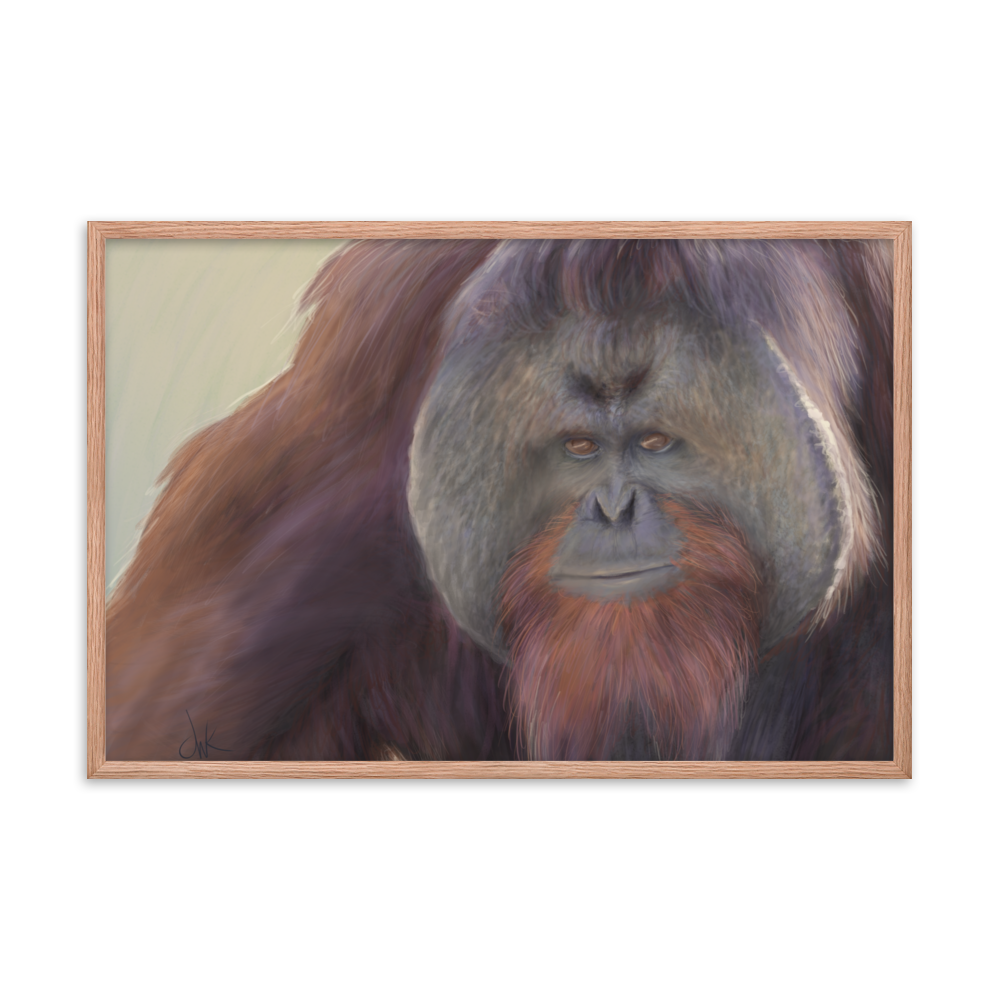 This print of a male orangutan is from a digital painting I recently completed. Male orangutans often have excess facial skin which creates an intimidating silhouette. The eyes and textures were especially fun to paint. This digital wildlife animal painting print design is printed on matte paper and comes as framed wall art for display. These apes have long facial hair and powerful jaws along with cute and sympathetic eyes.