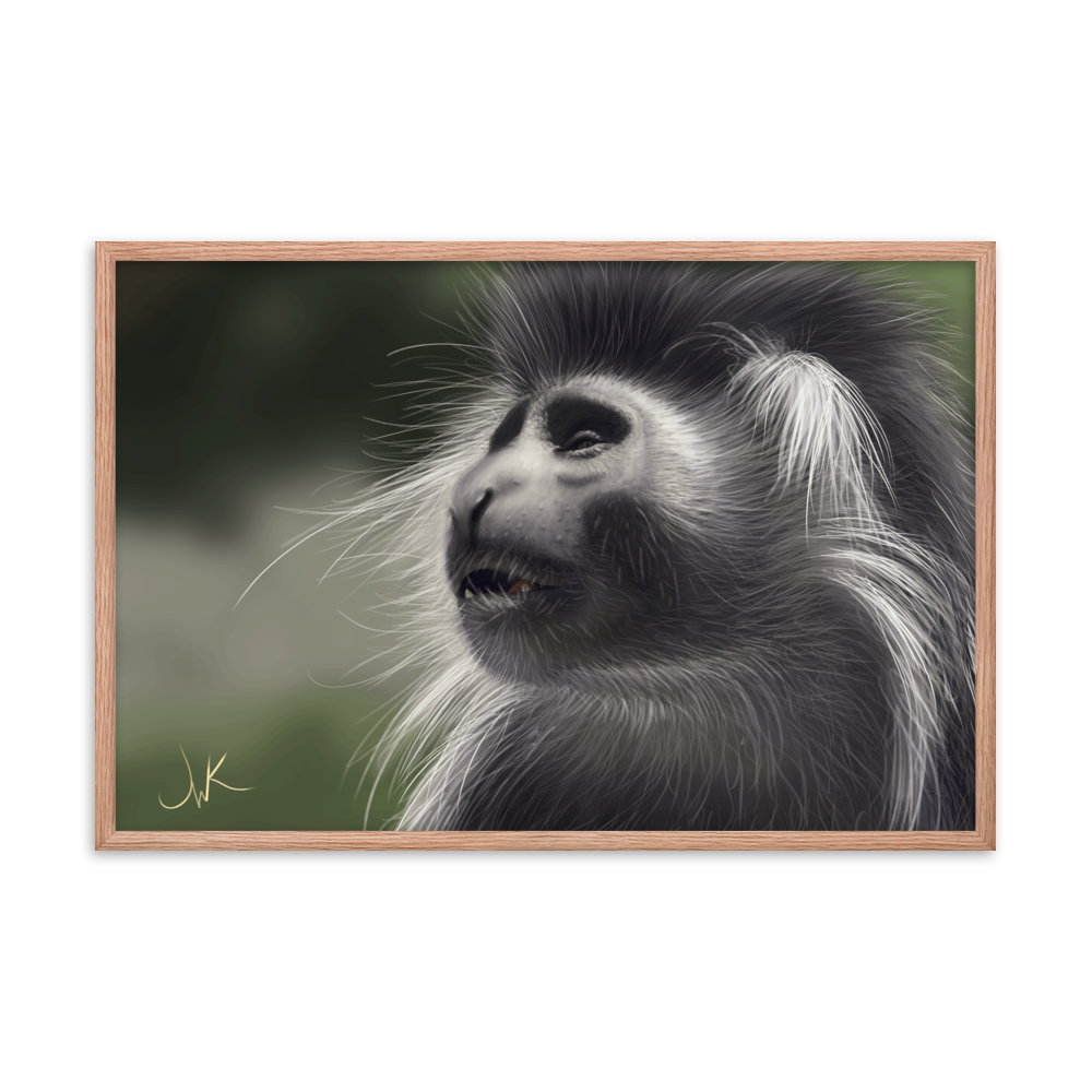 This is a print of a digital painting featuring an Angolan Colobus Monkey. This long-haired monkey can be found in the Congo and Angola. These cute monkeys have long facial hair and slanted noses along with cute and sympathetic eyes. This design comes framed and printed on matte paper and is ready to be displayed.