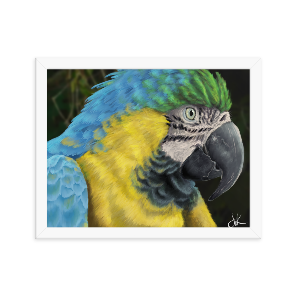 Macaws are such beautiful birds that I had to paint one. I especially love its beautiful vibrant colors in this digital painting. This digital wildlife animal painting print design is printed on matte paper and comes as framed wall art for display.