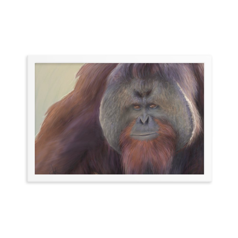 This print of a male orangutan is from a digital painting I recently completed. Male orangutans often have excess facial skin which creates an intimidating silhouette. The eyes and textures were especially fun to paint. This digital wildlife animal painting print design is printed on matte paper and comes as framed wall art for display. These apes have long facial hair and powerful jaws along with cute and sympathetic eyes.