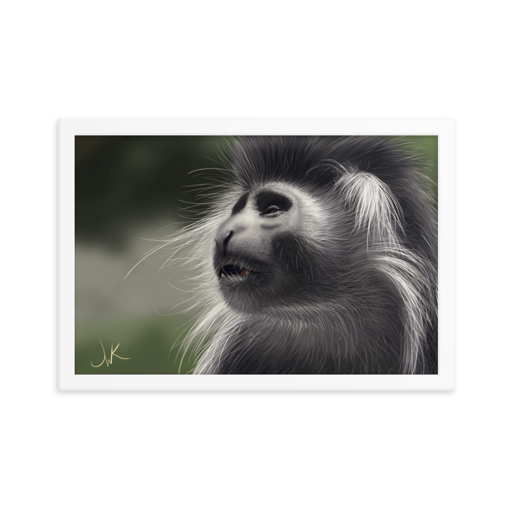 This is a print of a digital painting featuring an Angolan Colobus Monkey. This long-haired monkey can be found in the Congo and Angola. These cute monkeys have long facial hair and slanted noses along with cute and sympathetic eyes. This design comes framed and printed on matte paper and is ready to be displayed.