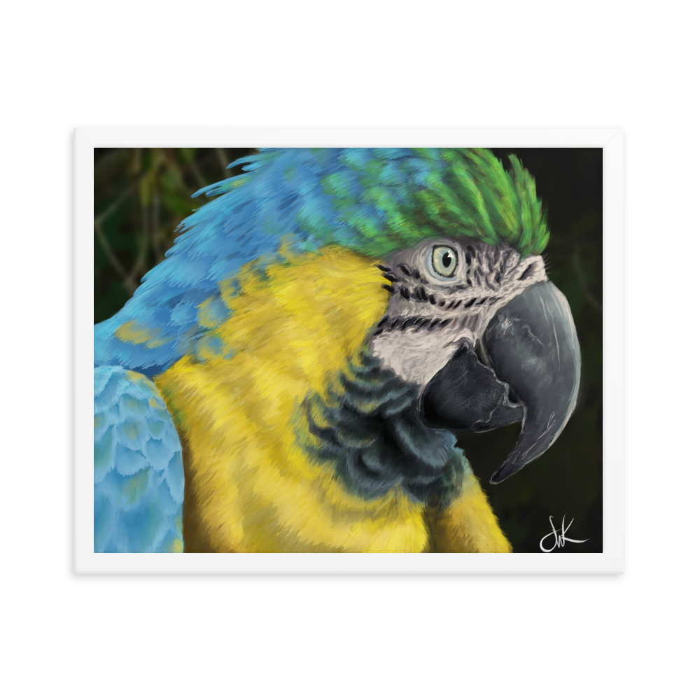 Macaws are such beautiful birds that I had to paint one. I especially love its beautiful vibrant colors in this digital painting. This digital wildlife animal painting print design is printed on matte paper and comes as framed wall art for display.