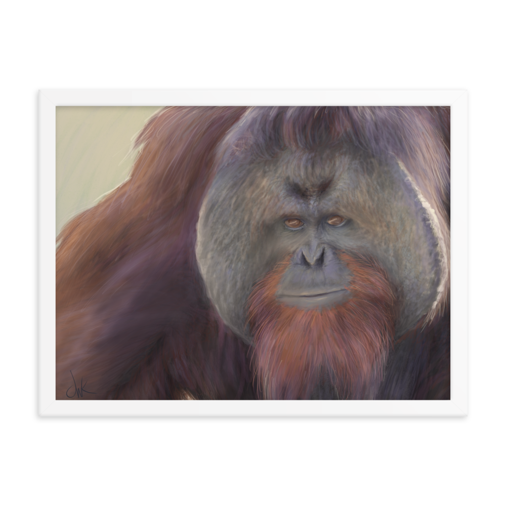 This print of a male orangutan is from a digital painting I recently completed. Male orangutans often have excess facial skin which creates an intimidating silhouette. The eyes and textures were especially fun to paint. This digital wildlife animal painting print design is printed on matte paper and comes as framed wall art for display. These apes have long facial hair and powerful jaws along with cute and sympathetic eyes.