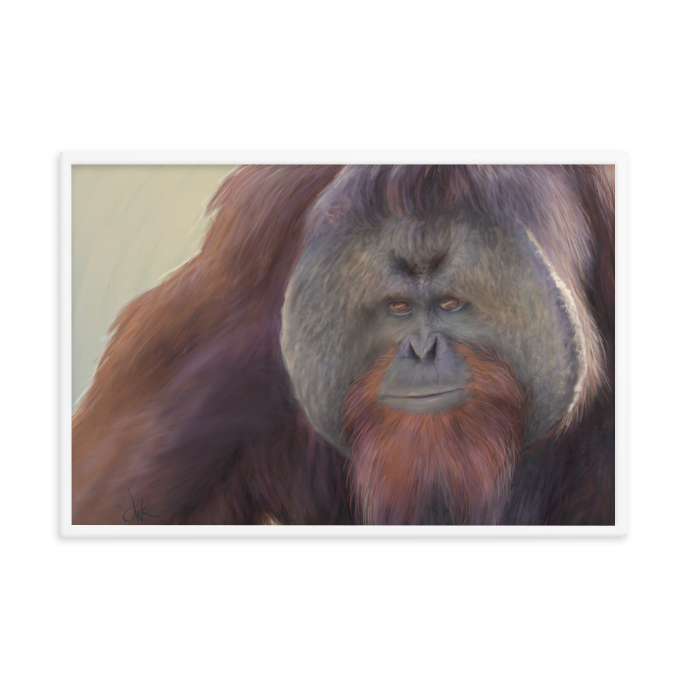 This print of a male orangutan is from a digital painting I recently completed. Male orangutans often have excess facial skin which creates an intimidating silhouette. The eyes and textures were especially fun to paint. This digital wildlife animal painting print design is printed on matte paper and comes as framed wall art for display. These apes have long facial hair and powerful jaws along with cute and sympathetic eyes.