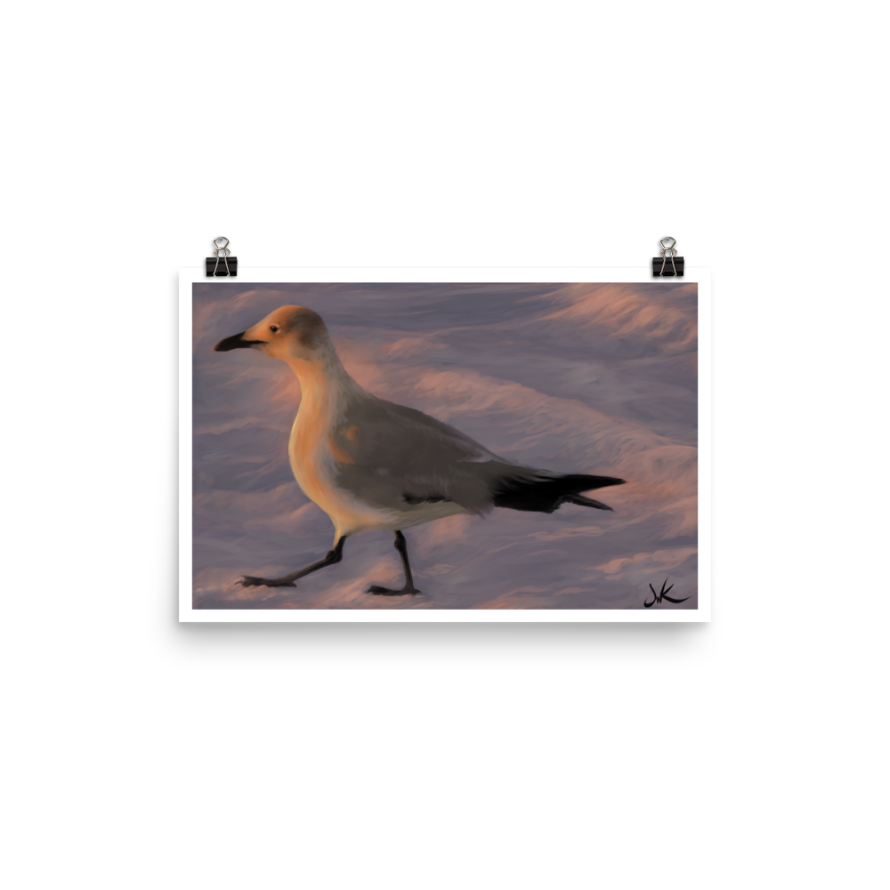 Have you ever been captured by the beauty of a Florida sunset? I was when I painted this digital piece depicting a young laughing gull walking toward the warm glow of the sun as it kissed the ocean “good night.” This digital wildlife animal painting print design is printed on matte paper and comes rolled and ready to be framed and displayed.