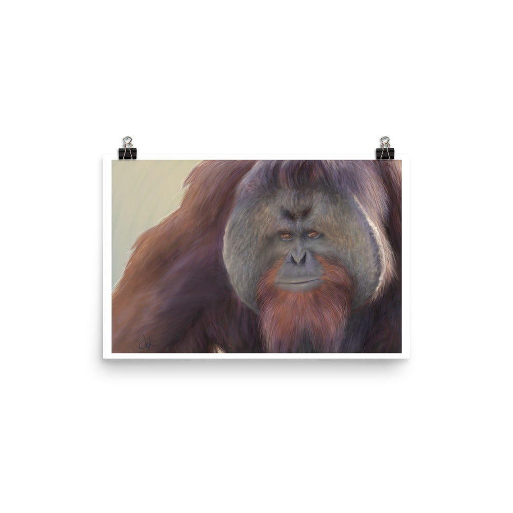 This print of a male orangutan is from a digital painting I recently completed. Male orangutans often have excess facial skin which creates an intimidating silhouette. The eyes and textures were especially fun to paint. This digital wildlife animal painting print design is printed on matte paper and comes as rolled wall art ready for framing and display. These apes have long facial hair and powerful jaws along with cute and sympathetic eyes.