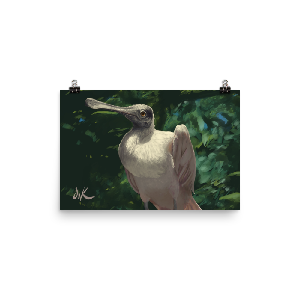 A curiously odd and funny creature, the spoonbill is definitely a sight to see. This is a print of one of my digital paintings capturing the essence of the bird whose name is so fitting. This digital wildlife animal painting print design is printed on matte paper and comes rolled and ready to be framed and displayed.