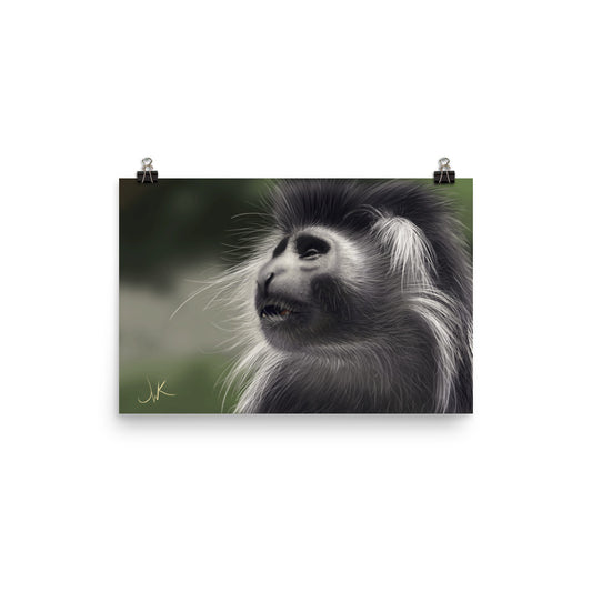 This is a print of a digital painting featuring an Angolan Colobus Monkey. This long-haired monkey can be found in the Congo and Angola. These cute monkeys have long facial hair and slanted noses along with cute and sympathetic eyes. This design comes rolled on matte paper and is ready to be framed and displayed.