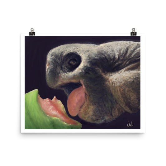 This digital wildlife animal painting print design is of a very cute tortoise munching on a juicy watermelon. These animals have large chubby bodies contained within massive heavy shells along with cute and sympathetic eyes. This digital wildlife animal painting print design is printed on matte paper and comes as rolled wall art ready to be framed and display.