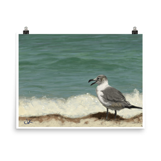 "Seagull Study" Poster