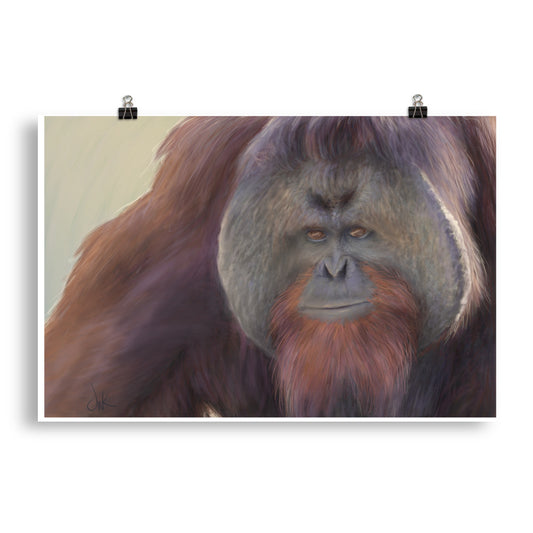 This print of a male orangutan is from a digital painting I recently completed. Male orangutans often have excess facial skin which creates an intimidating silhouette. The eyes and textures were especially fun to paint. This digital wildlife animal painting print design is printed on matte paper and comes as rolled wall art ready for framing and display. These apes have long facial hair and powerful jaws along with cute and sympathetic eyes.