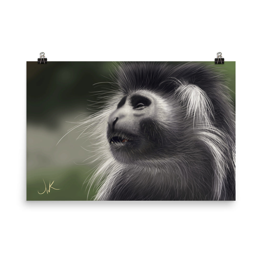 This is a print of a digital painting featuring an Angolan Colobus Monkey. This long-haired monkey can be found in the Congo and Angola. These cute monkeys have long facial hair and slanted noses along with cute and sympathetic eyes. This design comes rolled on matte paper and is ready to be framed and displayed.