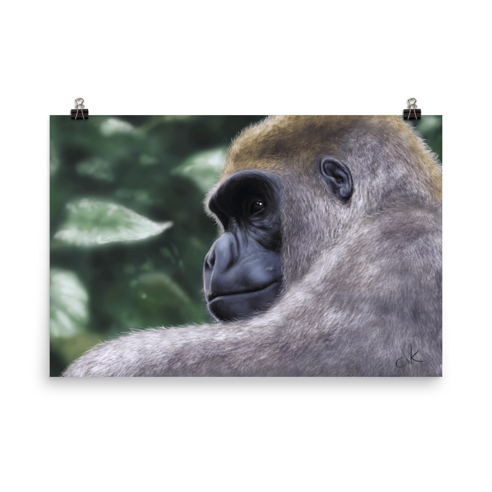 This is a print of a revised digital painting where I started over from scratch. The result is a more realistic gorilla with a pensive gaze.&nbsp;Their human-like qualities make me feel lots of empathy and wonder toward them. They are fascinatingly smart while also full of strength. This digital wildlife animal painting print design is printed on matte paper and comes as rolled wall art ready to be framed and displayed.