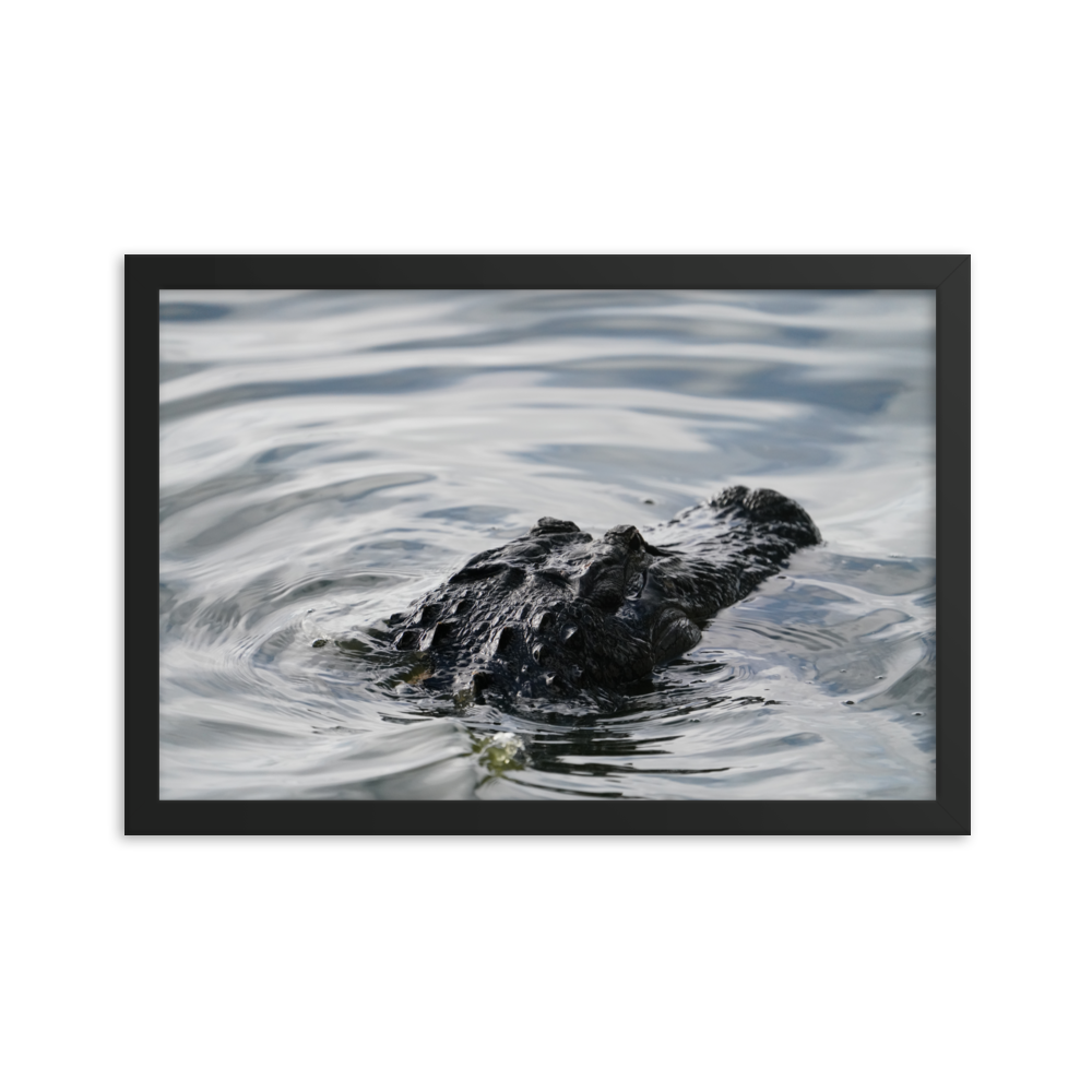 "Wading in the Water" Framed photo paper poster