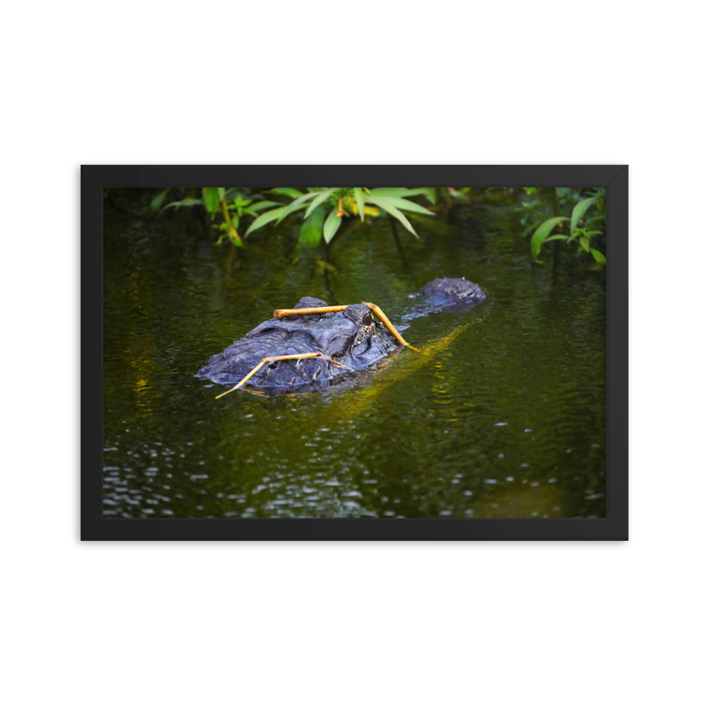 "Gator in Disguise" Framed photo paper poster