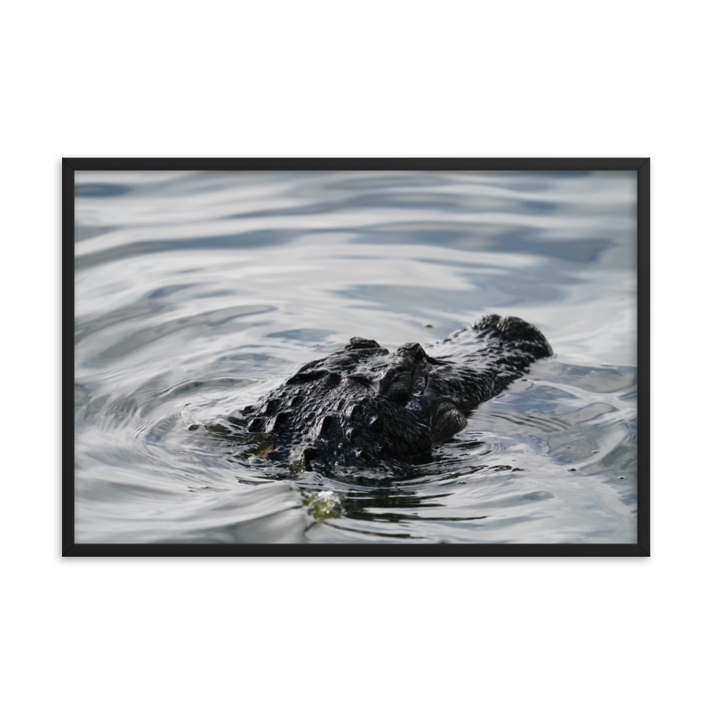 "Wading in the Water" Framed photo paper poster