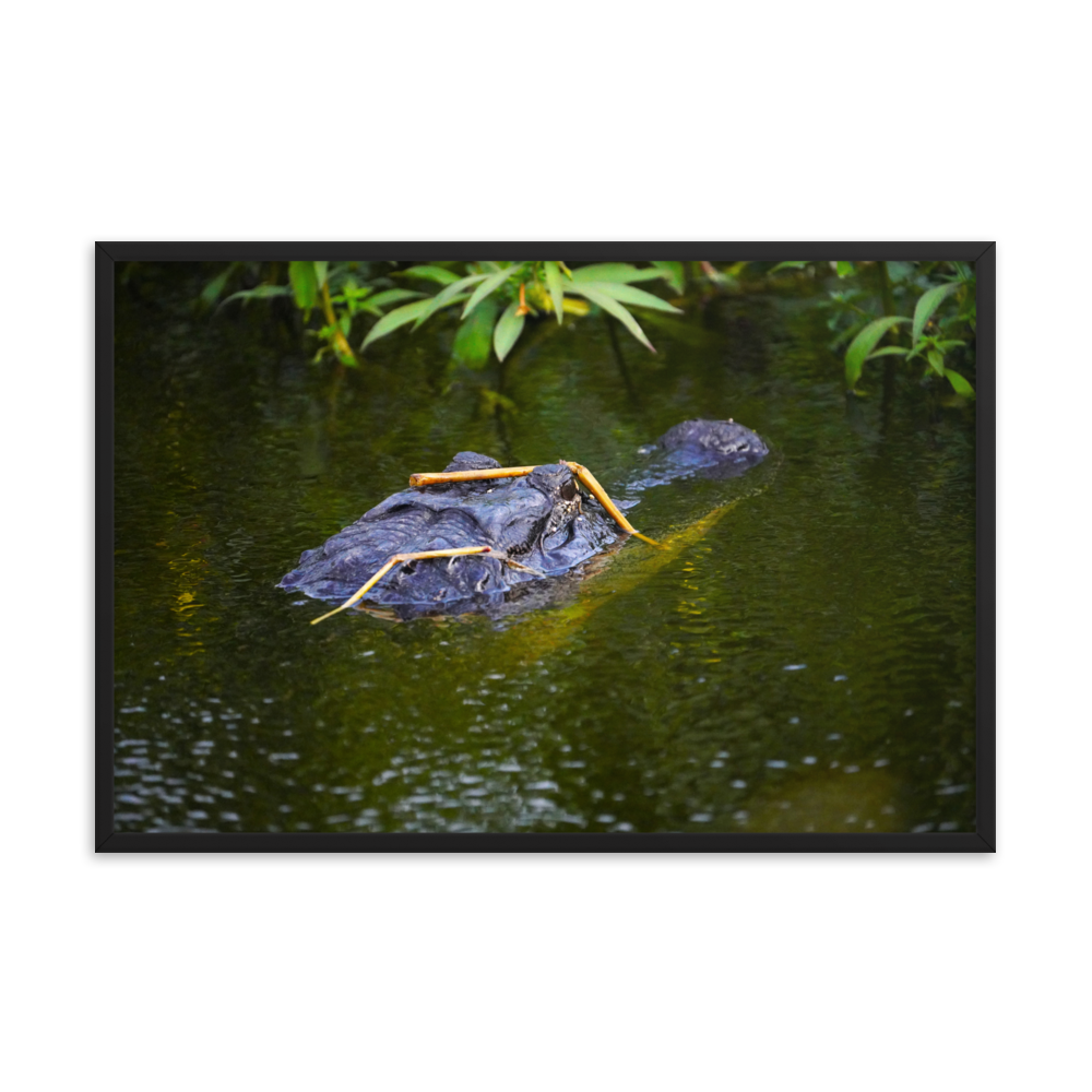 "Gator in Disguise" Framed photo paper poster