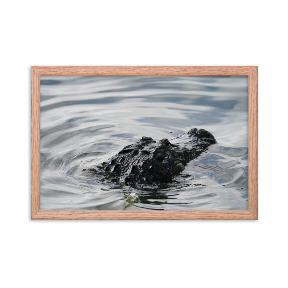 "Wading in the Water" Framed photo paper poster