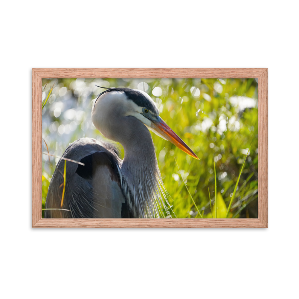 "Heron Essence" Framed photo paper poster