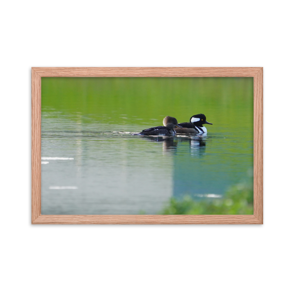 "New Neighbors" Framed photo paper poster